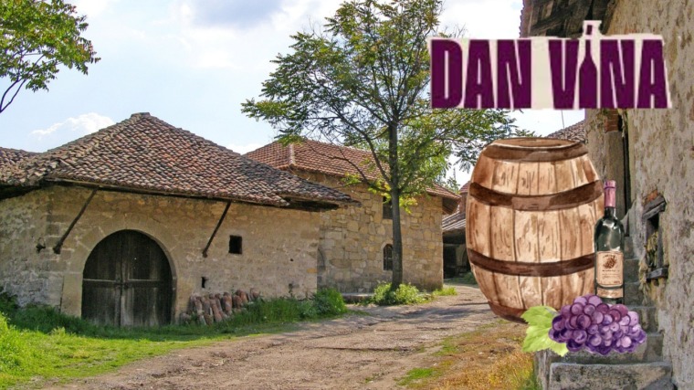 A Day of Wine and Good Vibes: Festival in Rajačke Pimnice