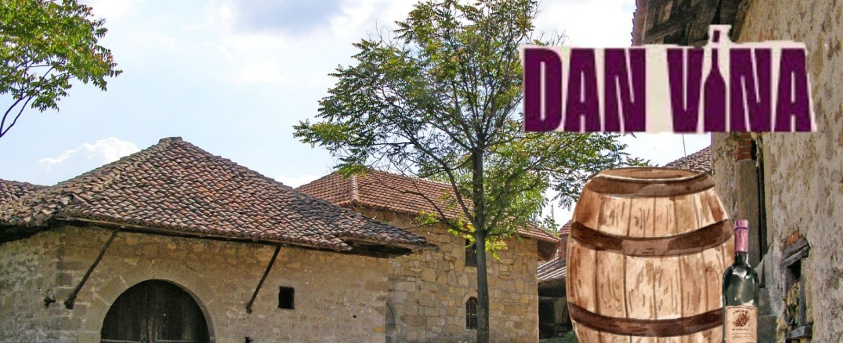 A Day of Wine and Good Vibes: Festival in Rajačke Pimnice