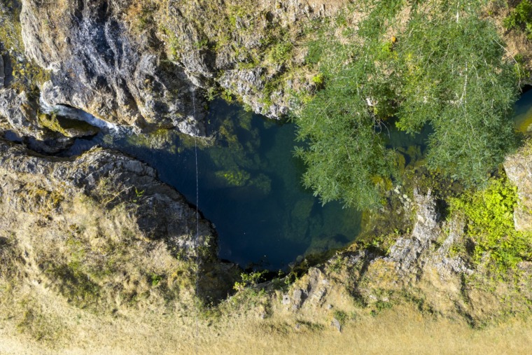 Vir Buk – A Hidden Summer Oasis in the Heart of Zlatibor