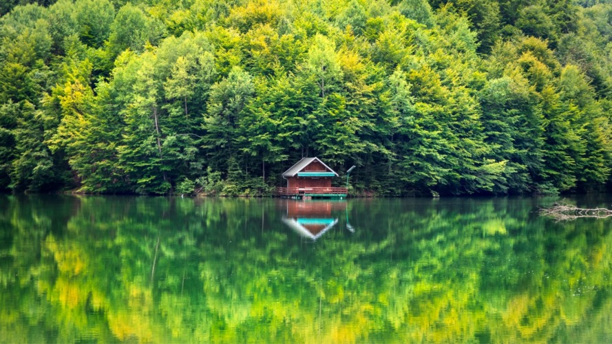 Goli Kamen Lake – Where Nature Whispers in Silence