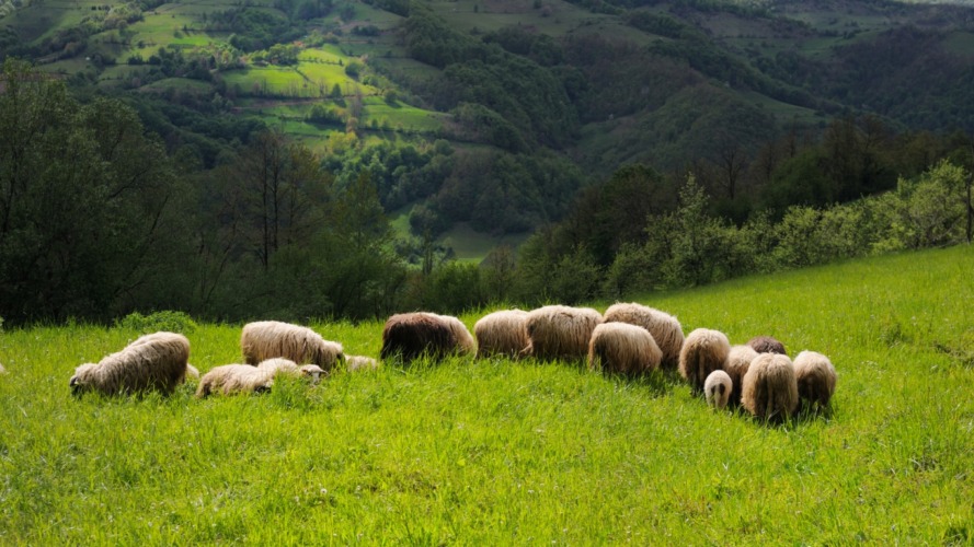 Povlen: Mistična planina Zapadne Srbije