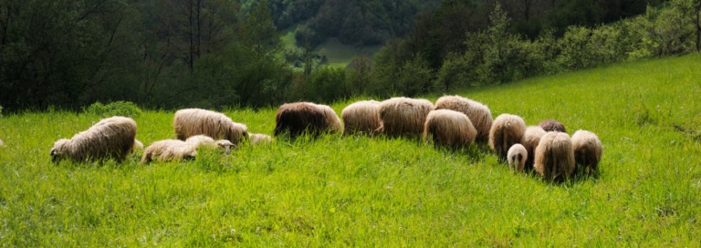 Povlen: Mistična planina Zapadne Srbije