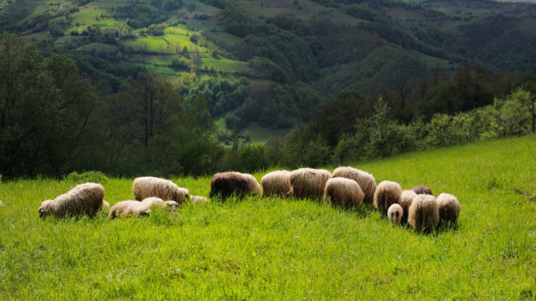 Povlen: Mistična planina Zapadne Srbije