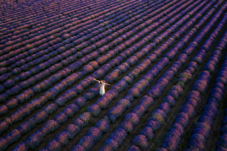 Scents of Serbia: From Lavender Fields to Roasted Peppers