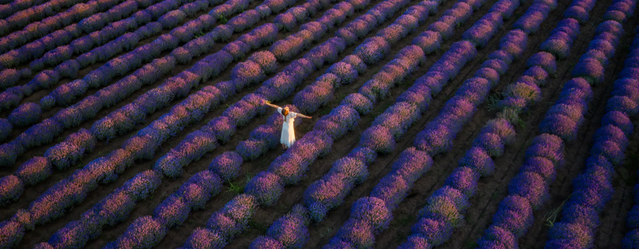Scents of Serbia: From Lavender Fields to Roasted Peppers