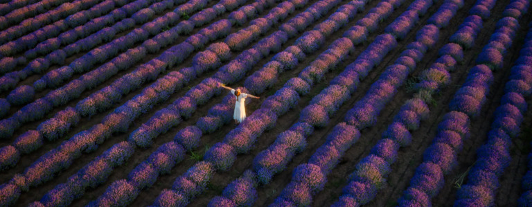 Scents of Serbia: From Lavender Fields to Roasted Peppers