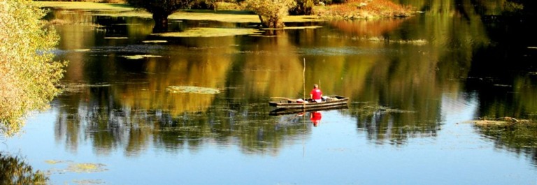 Novi Sad – prvi balkanski grad sa zvaničnom titulom Ramsar Wetland City