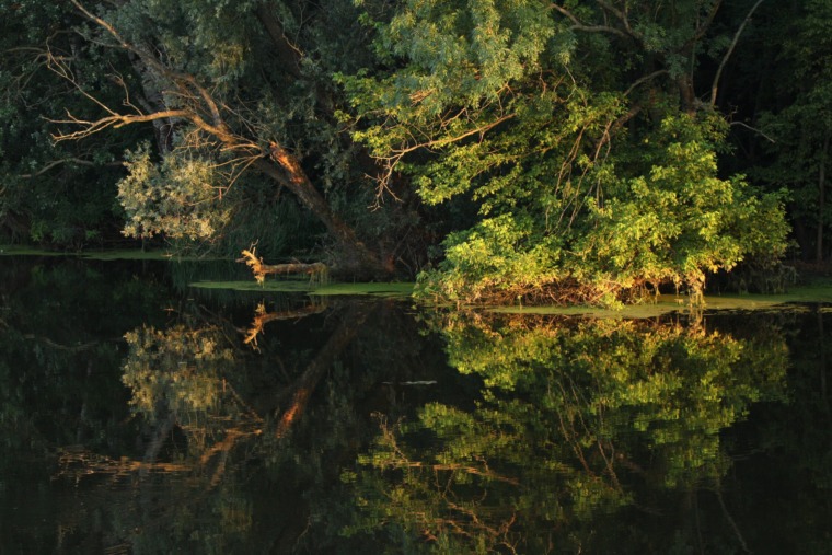 Carska Bara – The Imperial Wetland of Vojvodina