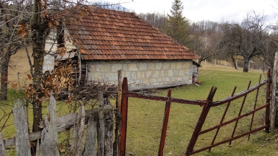 Srbija, Moja Priča – Dan kada me je čekalo celo selo