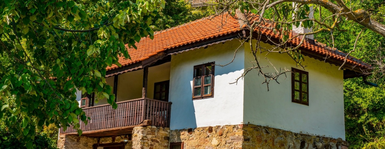 Srpske kuće iz 19. veka: Srce porodice i zajednice