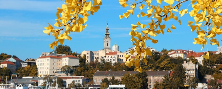 Belgrade in Autumn Colors: The Best Parks and Walking Paths