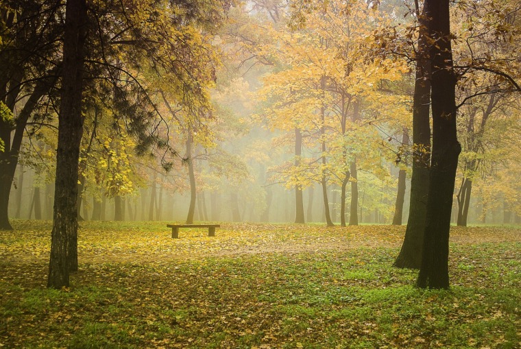 Discover Košutnjak: Where History Meets Nature