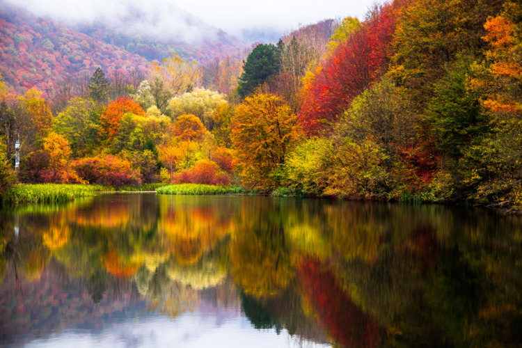 Best Autumn Wallpapers from Serbia – Refresh Your Screen