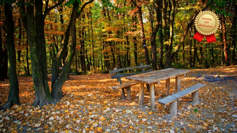 Fruška Gora – Golden Autumn of Serbia’s Holy Mountain