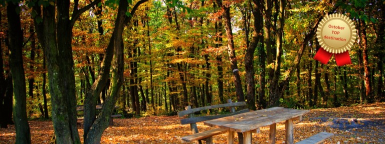 Fruška Gora – Golden Autumn of Serbia’s Holy Mountain