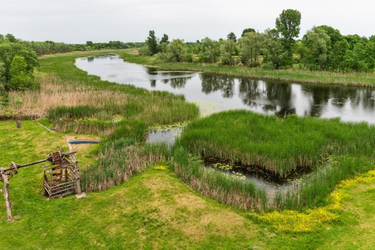 Zasavica: A Peaceful Nature Retreat by the River