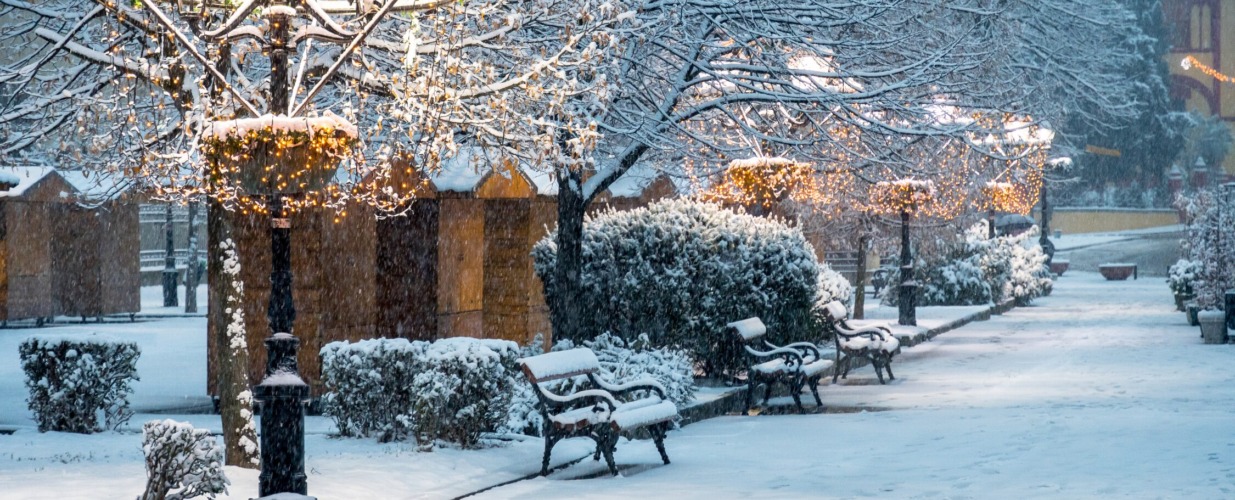 Sremski Karlovci in December: A Baroque Gem on the Danube