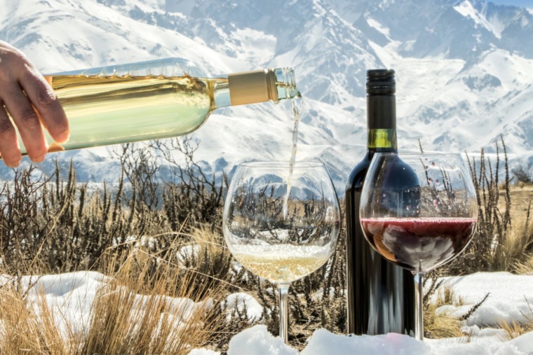 Praznični Vinski Putevi: Najlepše Vinarije Srbije Tokom Praznika