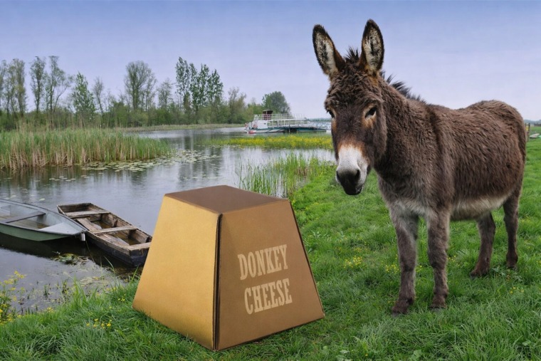 10 Fascinating Facts About Serbia’s Donkey Milk Cheese