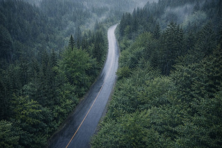 Where to Go in Serbia When It Rains: 5 Scenic Road Trips