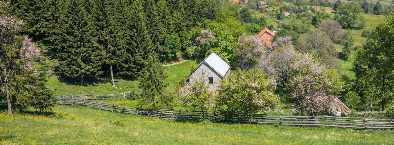 Rudno: A Serbian Mountain Village That Feels Like a Reset