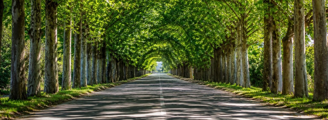 Top 5 Destinations to Visit in Serbia This May