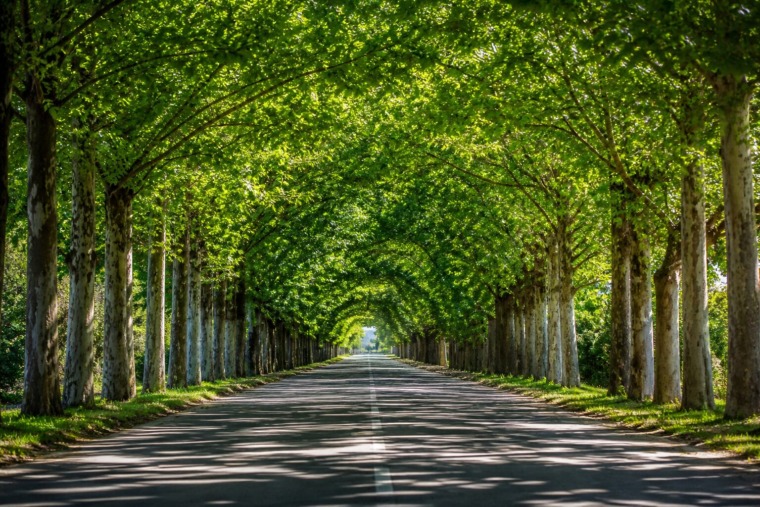 Top 5 Destinations to Visit in Serbia This May