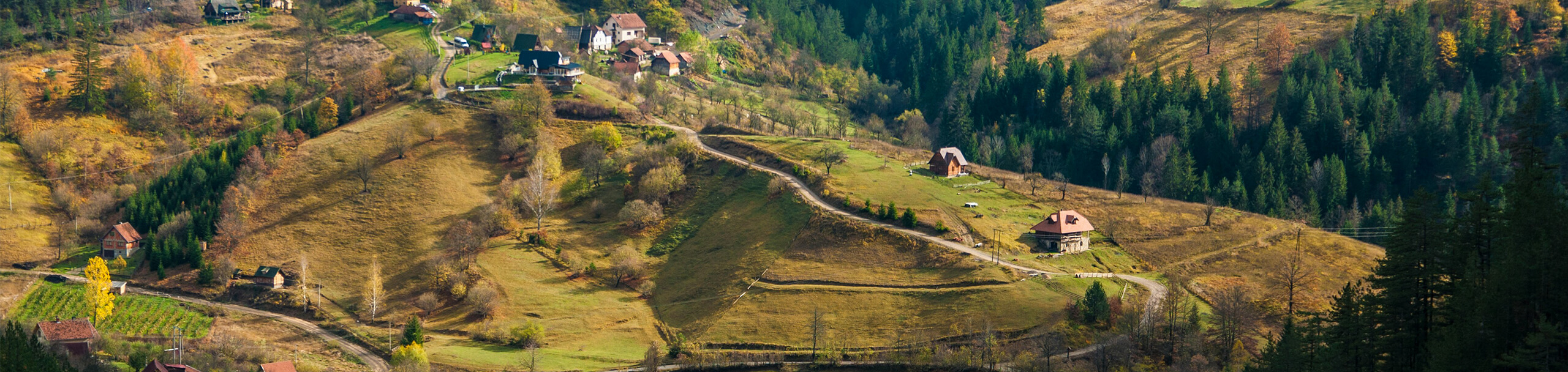 Experience Serbia