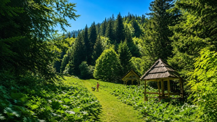 Metođe: The Hidden Destination Most Kopaonik Visitors Never See