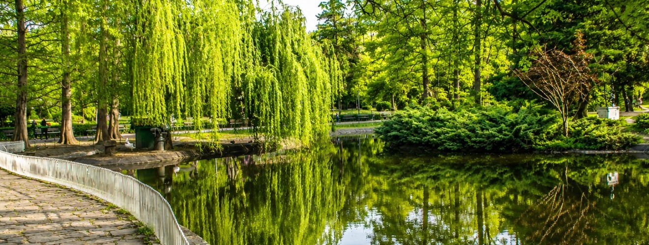 The Most Beautiful Summer Gardens and Parks in Serbia