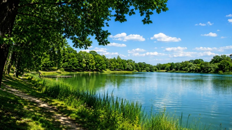 Borkovac Lake: A Perfect June Escape Near Fruška Gora