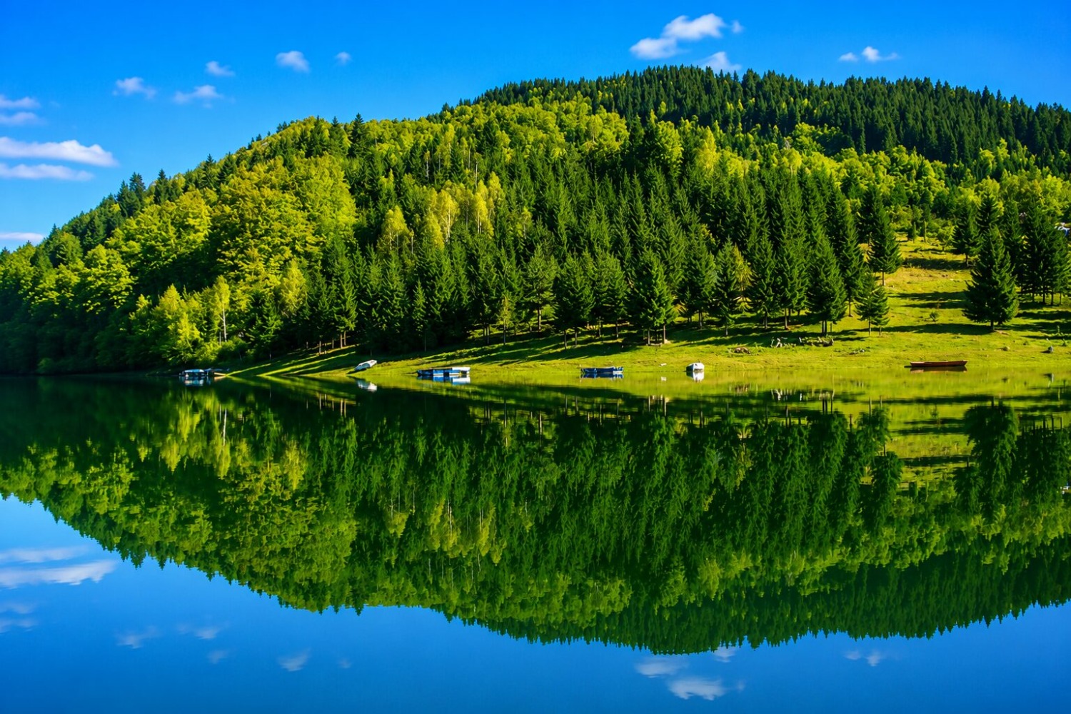 Nature