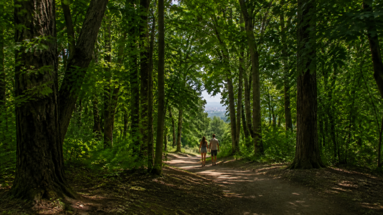Green Belgrade: Where to Escape the Heat and City Crowds