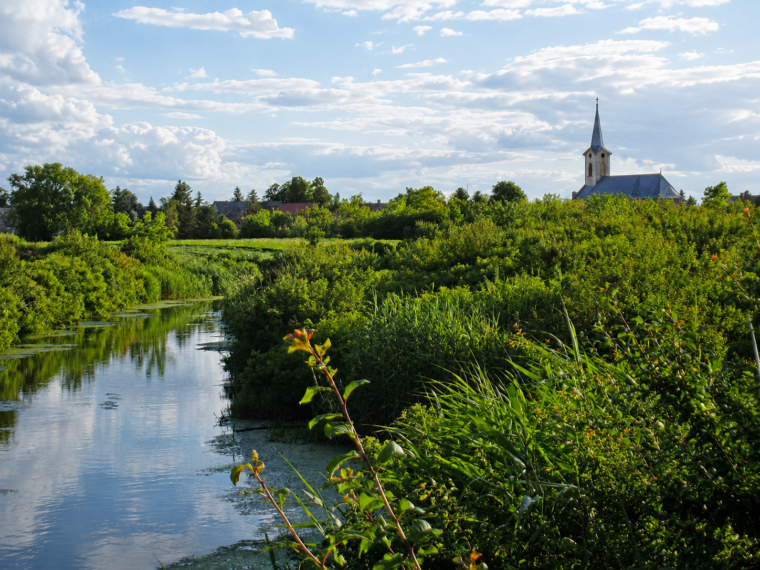 Jegrička Nature Park: A Hidden Water Oasis in the Heart of Bačka
