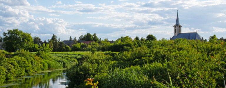 Jegrička Nature Park: A Hidden Water Oasis in the Heart of Bačka