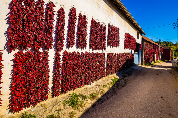 September in Serbia: Authentic Experiences You Can’t Miss