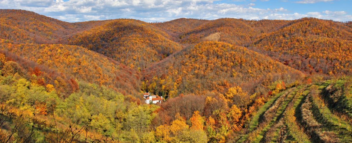Autumn at Your Own Pace: 6 Relaxed Escapes in Serbia