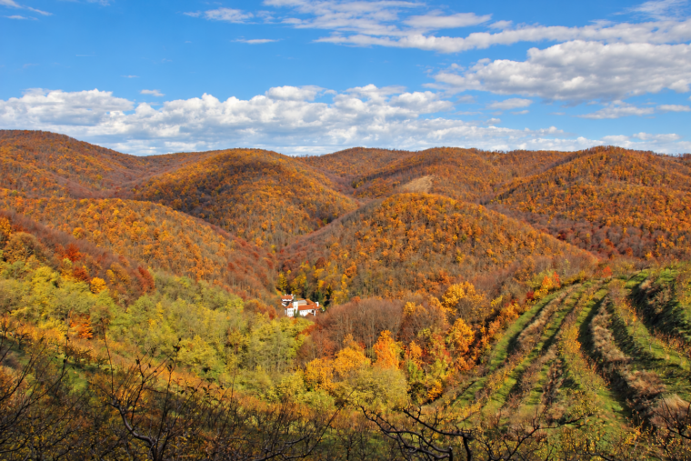 Autumn at Your Own Pace: 6 Relaxed Escapes in Serbia